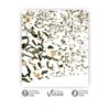 Althaus_Deli-Pack_Fine-Jasmine-04_1920x1920 (1) ALTHAUS Tea FINE JASMINE Πράσινο Τσάι 20φακελάκια